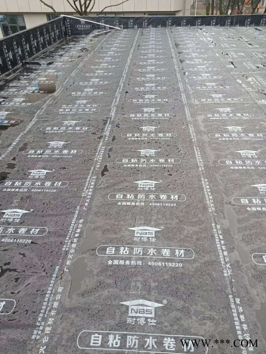 耐博仕  SBS改性沥青防水卷材图6