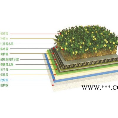 诺德金隆 耐根穿刺化学阻根SBS防水卷材屋面种植防水卷材（4mm）国标-25度