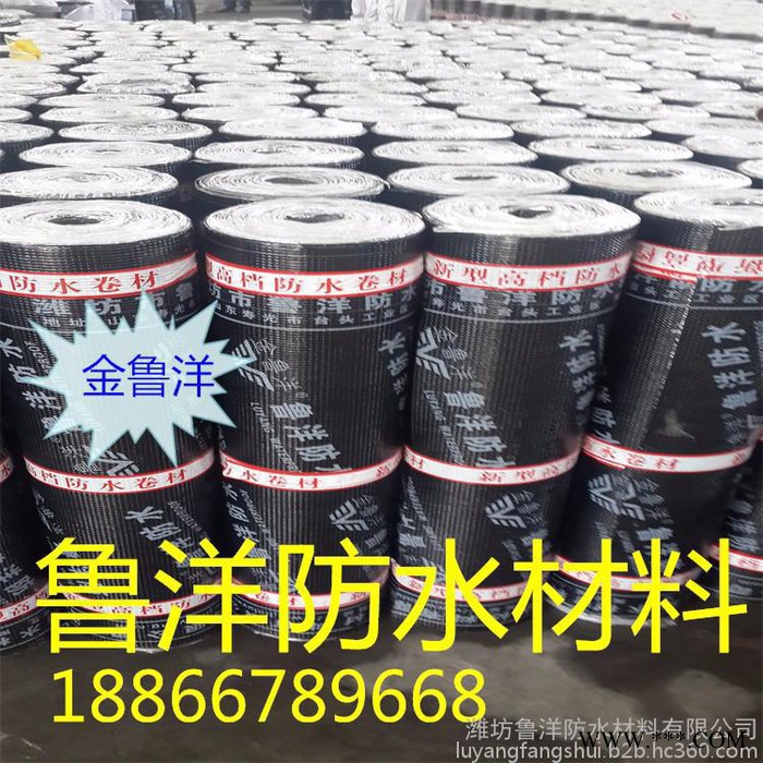 厂家供应sbs改性沥青防水卷材价格低品**图2