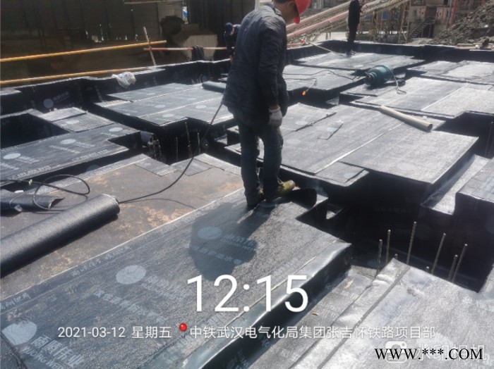 湖北硅烷浸渍剂厂家找雨晴防水桥梁箱防水材料沿海大桥防水涂料图3