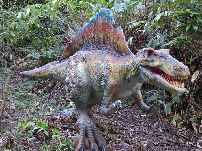 仿真恐龙制作 仿真恐龙公司 恐龙厂家  恐龙模型 硅胶恐龙 城市广场恐龙展 仿真恐龙公司 霸王龙 大型仿真恐龙