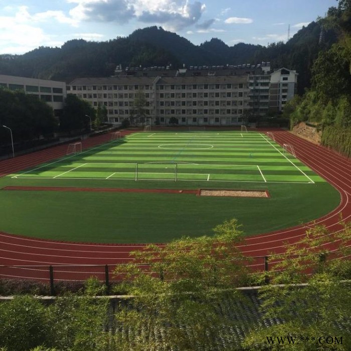 广欧-EPDM橡胶颗粒塑胶跑道材料地胶小区学校游乐场彩色地坪面材料户外图8