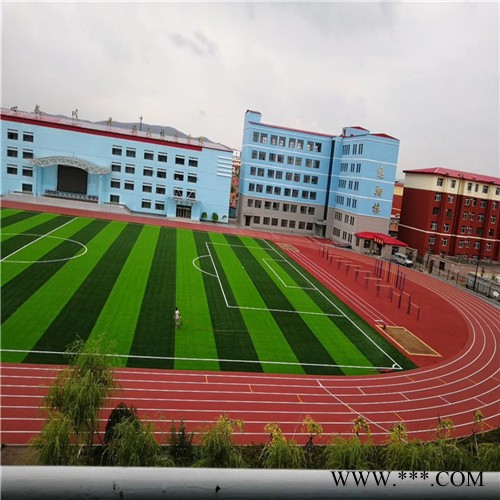 健乐步 厂家直供塑胶跑道 塑胶场地施工 橡胶颗粒 DPFM 塑胶跑道价格 欢迎来电图4