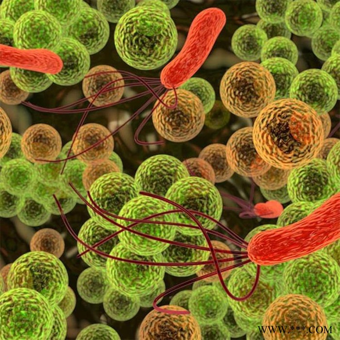 供应有机硅消毒剂|有机硅消毒|有机硅消毒液|有机硅类抗菌剂|有机硅类抗菌|有机硅类杀菌剂|有机硅类抑菌剂|有机硅类杀菌图4