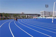 广欧塑胶跑道施工彩色橡胶颗粒运动场户外篮球场地胶图2