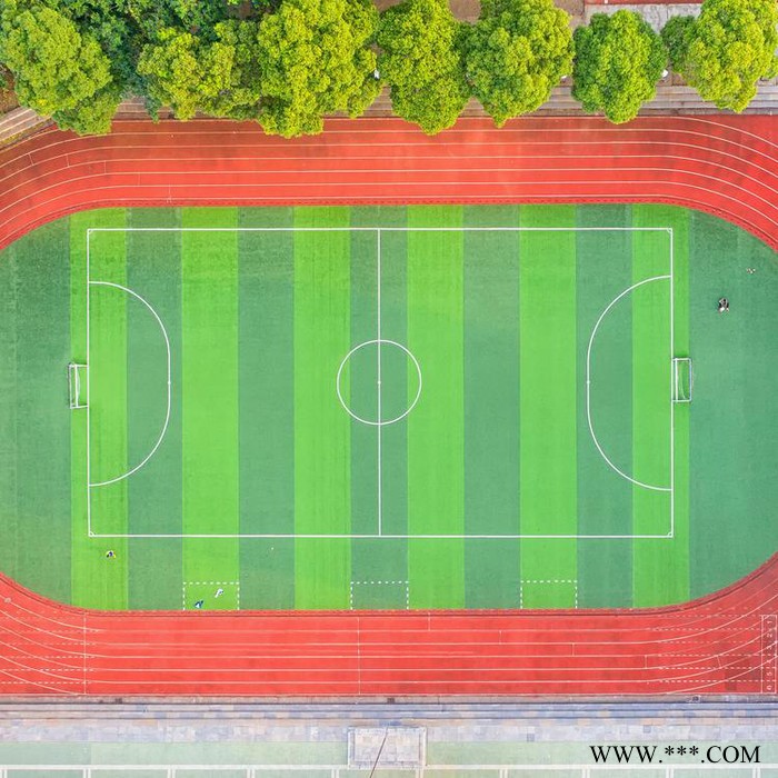 广欧-学校彩色epdm铺设透气型橡胶颗粒材料厂家直营 学校塑胶跑道施工图5