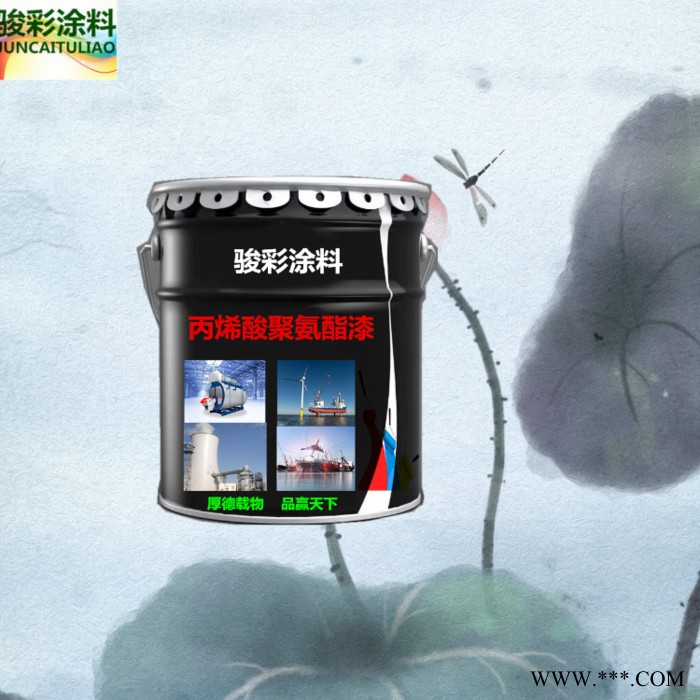 骏彩新材料   新乡氟碳涂料 金属氟碳漆 有机硅耐高温漆图5