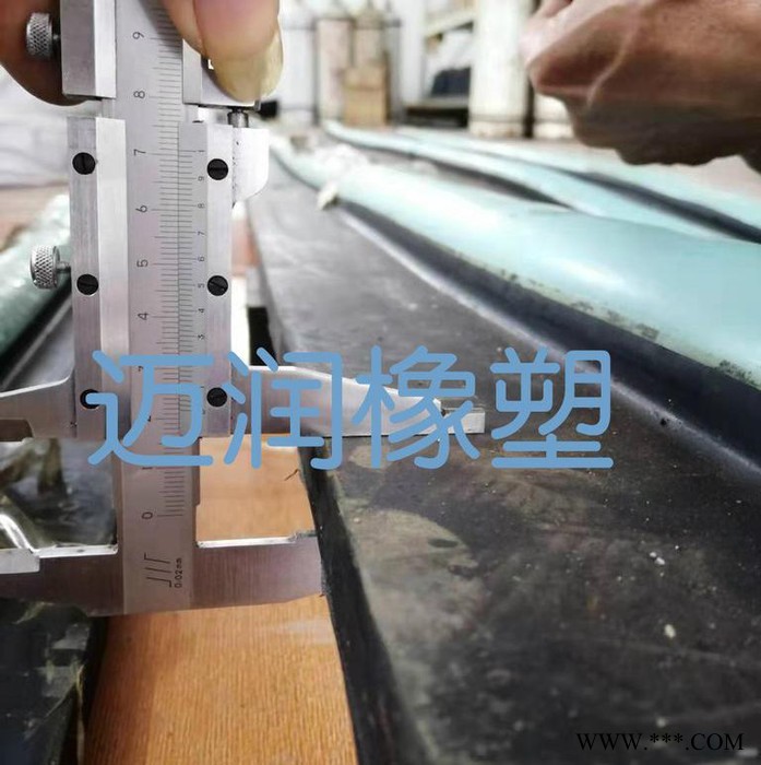南京迈润橡塑厂家 供应  各种国标型号 水闸用橡胶密封件 P型水封图2