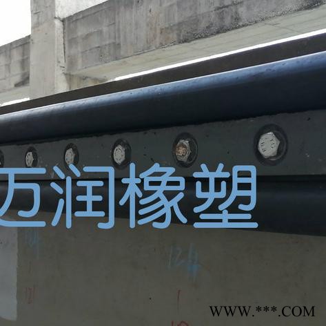 南京迈润橡塑厂家 供应  各种国标型号 水闸用橡胶密封件 P型水封图4