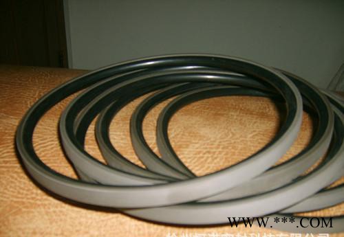四氟密封件 橡胶聚氨酯密封件图2