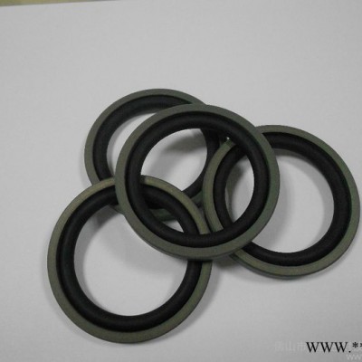 供应自产格莱圈密封件