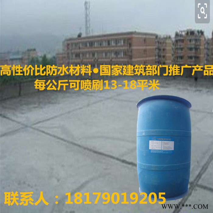 星泰隆 有机硅防水剂纳米渗透型防水也 卫生间防水 浸泡防水 不砸砖防水液图3