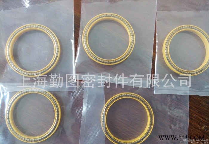 原装进口lng密封圈LNG外密封弹簧密封圈LNG泛塞封图3