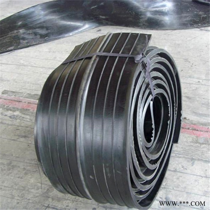 背贴式橡胶止水带_652系列橡胶止水带_陆韵止水带厂家提供图4