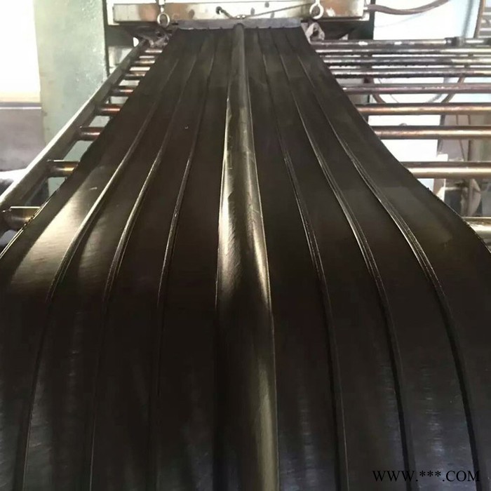 定做东宁县隧道公路止水带 背贴止水带建筑用止水带生产供应图6