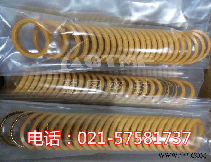 进口LNG密封圈 LNG弹簧蓄能密封圈图2