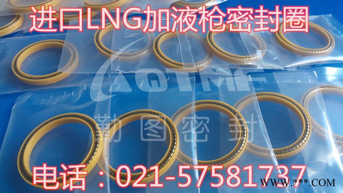 进口LNG密封圈 LNG弹簧蓄能密封圈图3