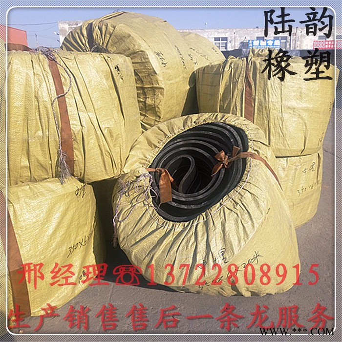 广饶县陆韵350/10钢边橡胶止水带产品 止水带 建筑止水带 中埋止水带 钢边橡胶止水带 橡塑止水带图3