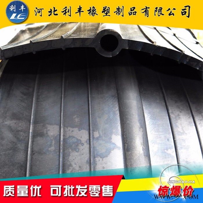 河北利丰厂家供应中埋式橡胶止水带300*10国标止水带图8