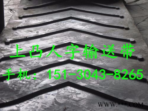 供应保定八达输送带|八达牌B600橡胶止水带|八达橡胶胶带托辊有限公司图2