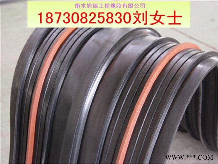 青海果洛橡胶止水带图集图3