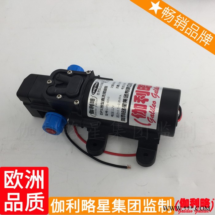 柱塞头水枪水管上海小型胶管泵价格洗车