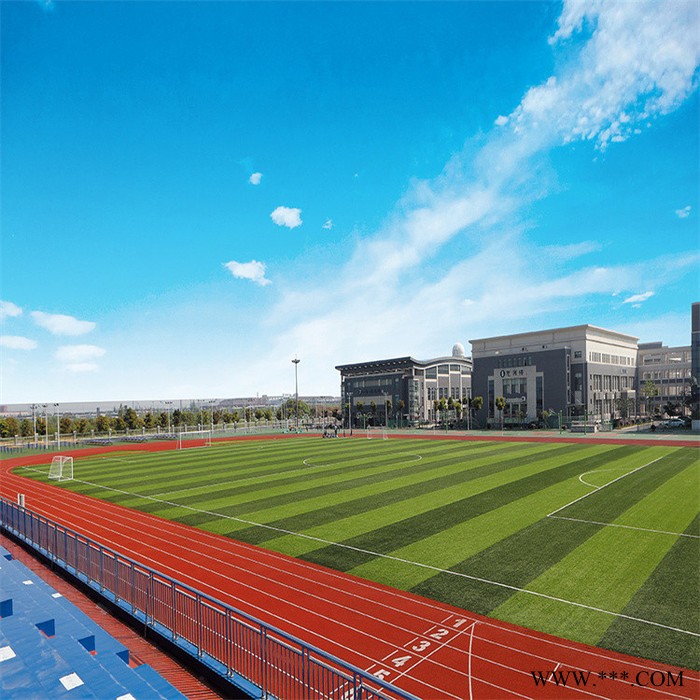 厚冠epdm橡胶板18mm施工价格 小区EPDM运动场地 云南漾濞黑颗粒塑胶跑道图5