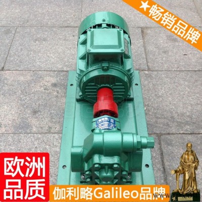 上海高压油泵油封 上海耐酸齿轮泵厂 星肆