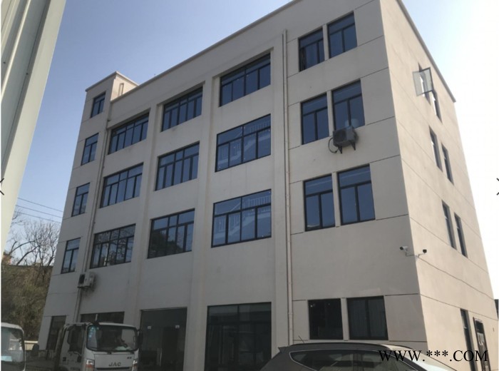 舜泰 SA1000 玩具轮胎发泡剂图4