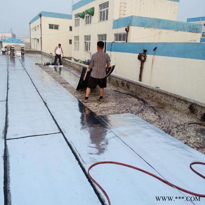 金鲁洋国标 自粘防水卷材  免火烤卷材 改性沥青自粘卷材图2