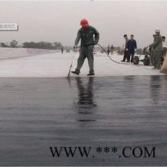 广东艾思尼高聚物改性沥青 防水涂料厂家图4