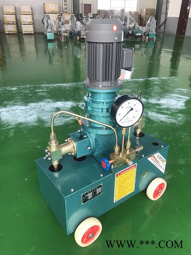 东风牌电动打压泵2D-SY40/100 立式双缸电动试压泵