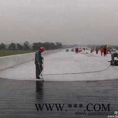 艾思尼 PB-2型道桥聚合物改性沥青防水涂料，广州艾偲尼科技公司团购产品图5