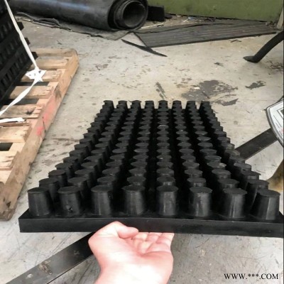 氯丁橡胶减震垫块 氯丁橡胶板 钉型氯丁橡胶减震板   保质保量  定制 龙翔 支持定制