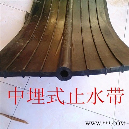 300乘6中埋式止水带 中置式止水带 内埋式止水带图3