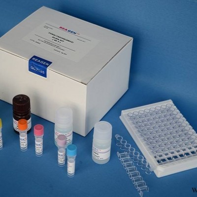 人柠檬酸合成酶(CS)ELISA试剂盒
