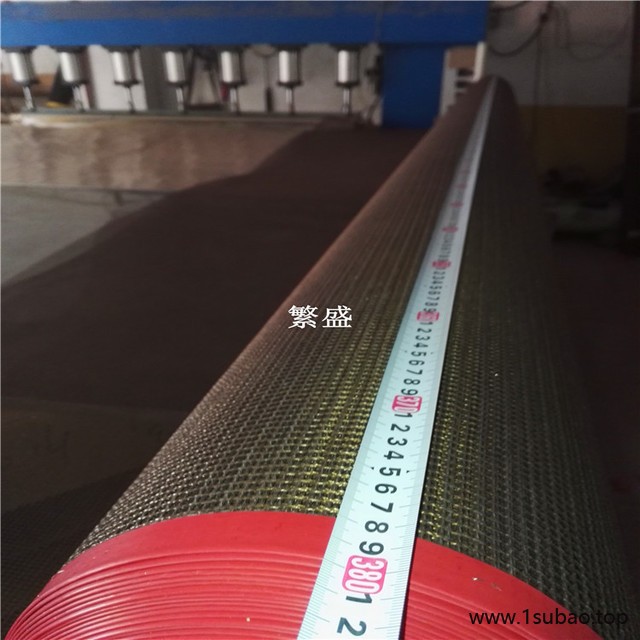 代替铁丝网输送带 烘干机网带 印刷油墨烘干输送带 印花烘干网带图5