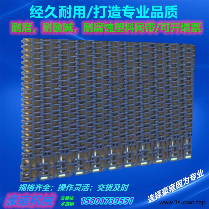 900POM塑料平格模块式输送带 塑料网链网带 塑料传送带 豪雍厂家一站式采购图2