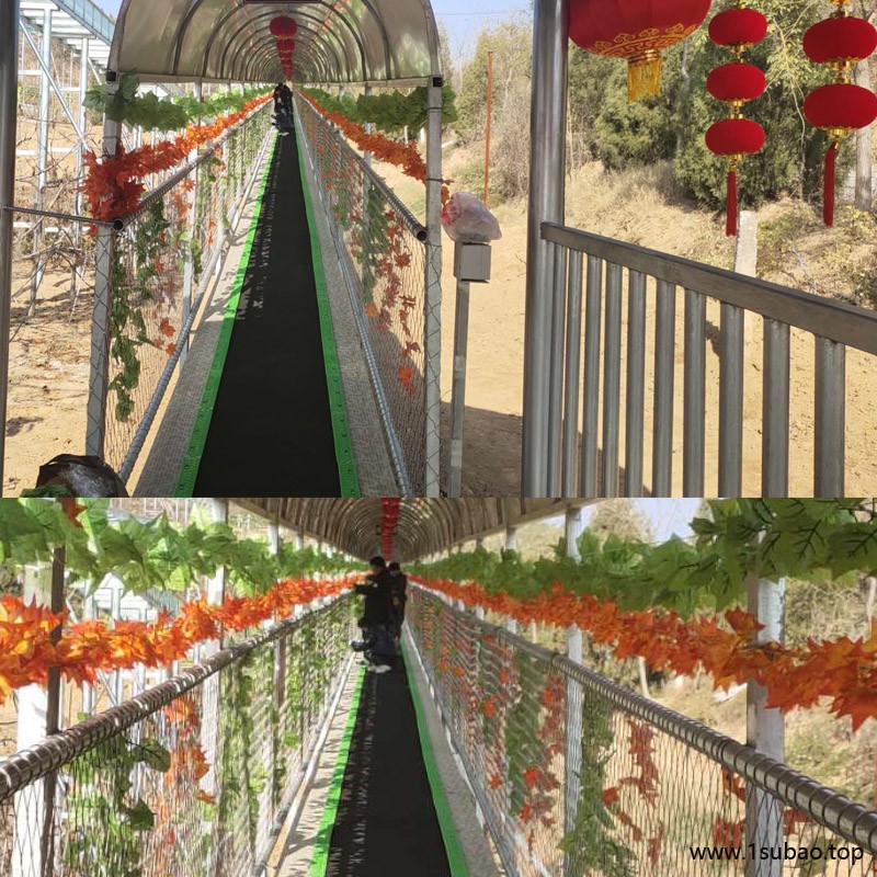 大型景区云梯 诺泰克景区魔毯输送带 观光云梯走廊安装价格图2