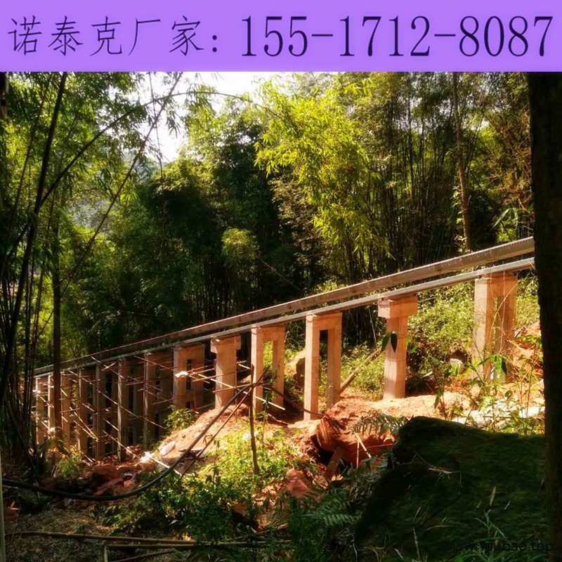 诺泰克景区魔毯云梯输送带厂家 观光电梯设计可定制图2