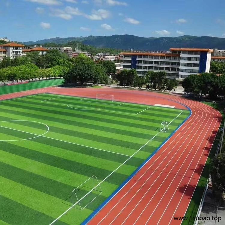 硅pu塑胶篮球场 EPDM塑胶跑道 建设五人制足球场 鹏卓 施工维修翻新图3