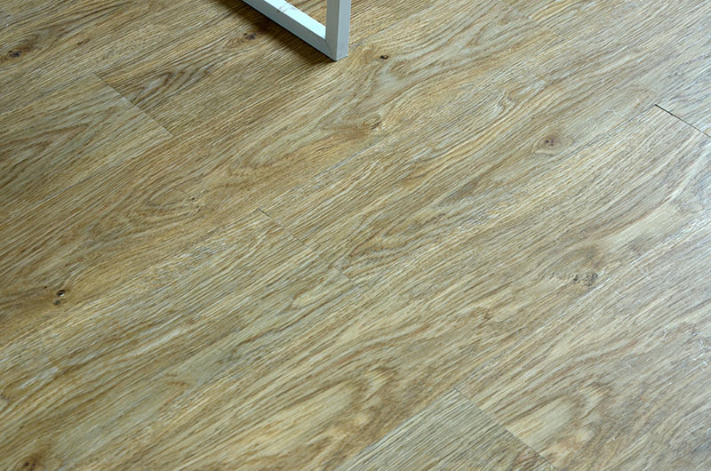 DSC_0445