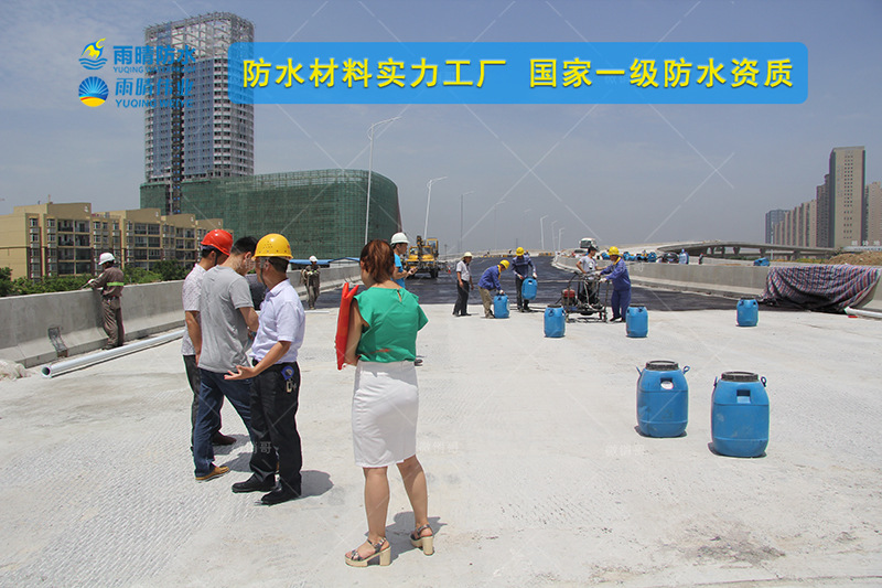 定安FYT-II改性沥青高聚物防水涂料厂家销售
