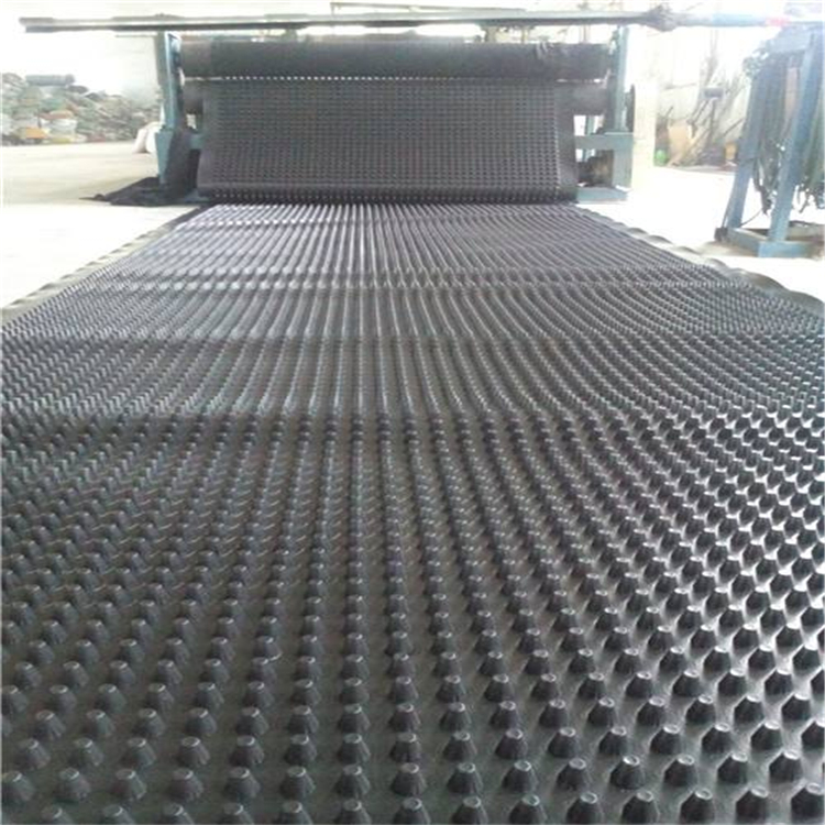 莱芜2公分高聚乙烯排水板 高塑料排水板 旺高建材