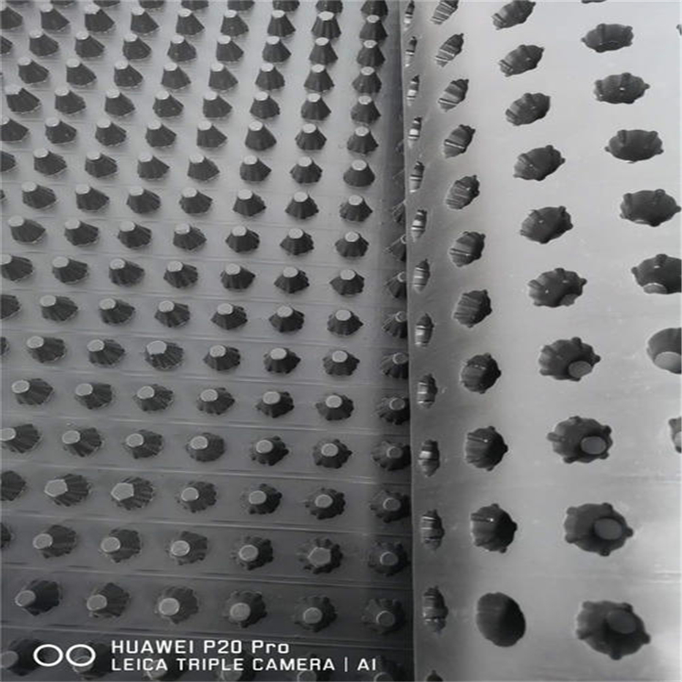 广元2公分高聚乙烯排水板 车库顶板塑料排水板 旺高建材