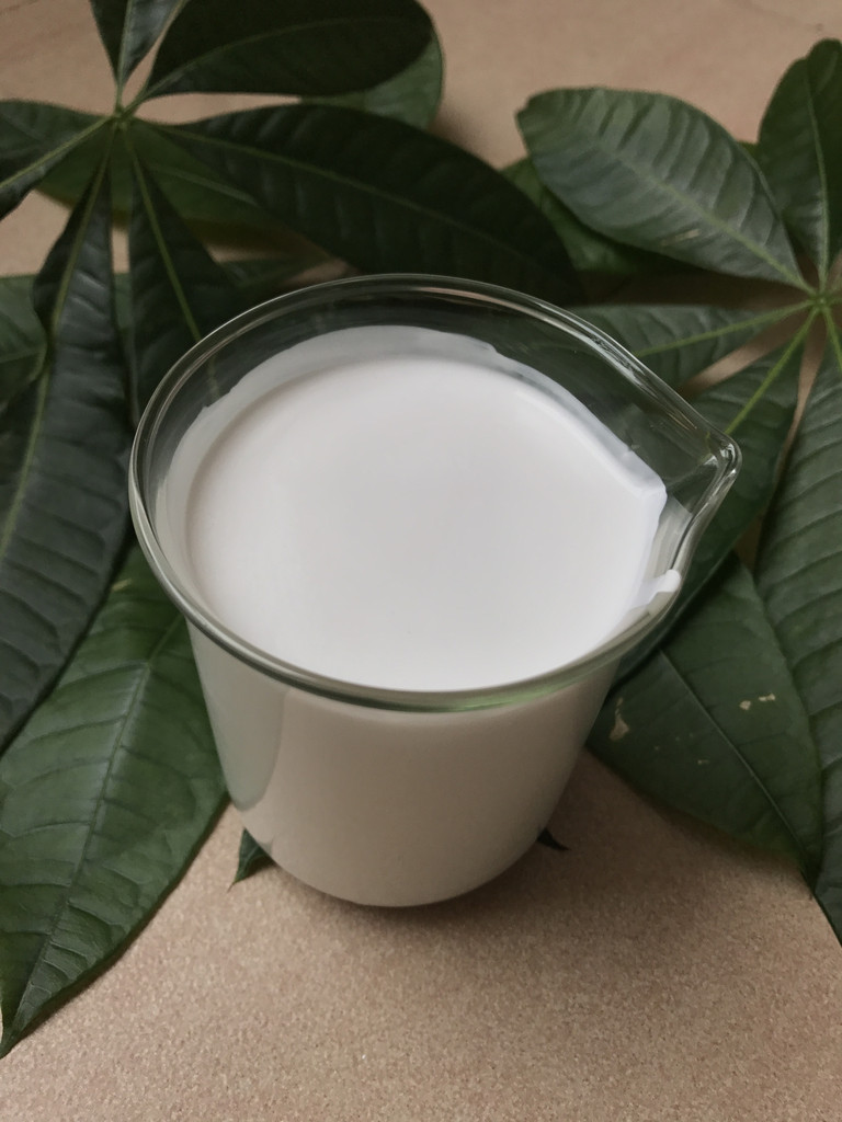 水性硬脂酸酰胺-水性硬脂酸酰胺硬脂酸酰胺分散液XA-30硬脂酸酰胺分散液