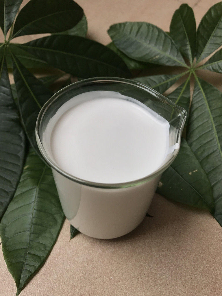 硬脂酸酰胺分散液-XA-30硬脂酸酰胺浆料XA-30硬脂酸酰胺浆料硬脂酸酰胺