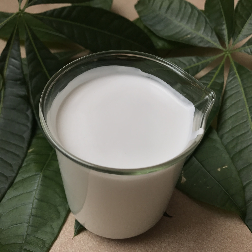 水性硬脂酸酰胺-XA-30硬脂酸酰胺浆料XA-30硬脂酸酰胺浆料硬脂酸酰胺分散液