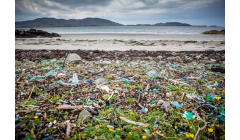 塑料污染達到“前所未有”的水平，海洋中發現了超過170萬億塑料顆粒