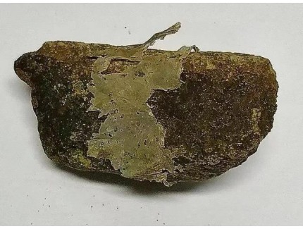 科學家首次發現“塑料巖石”，證實兩者間存在化學鍵